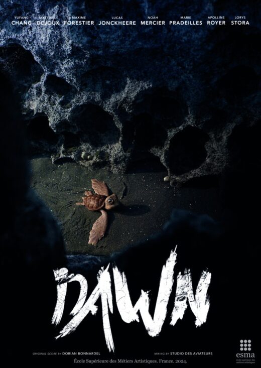 affiche film 3d 2024 dawn