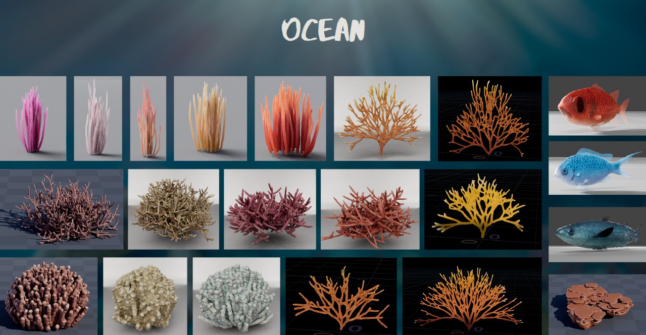 ocean