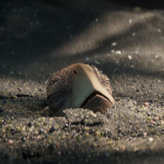 extrait film 3d 2024 dawn esma