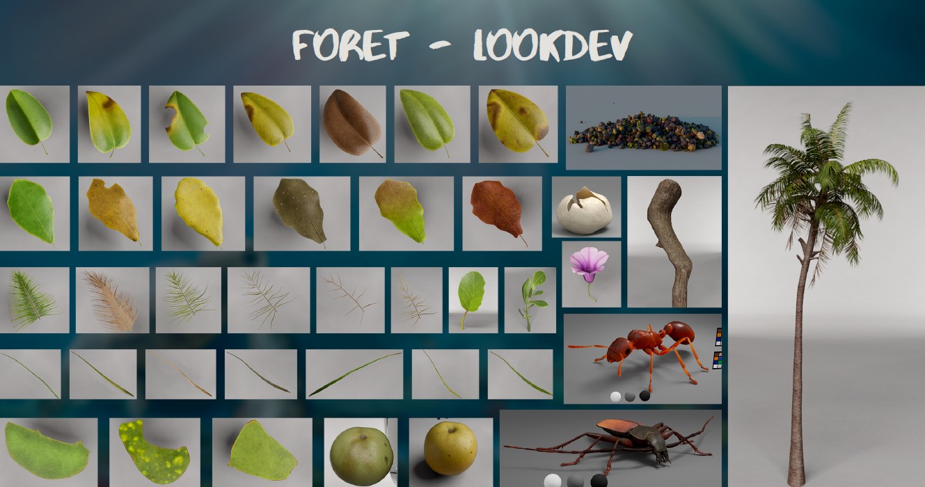 lookdev drill