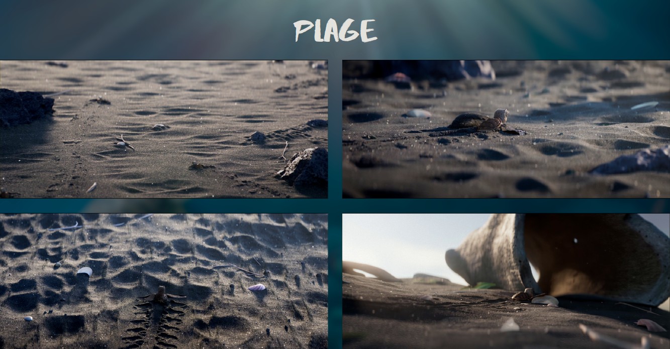 creative beach