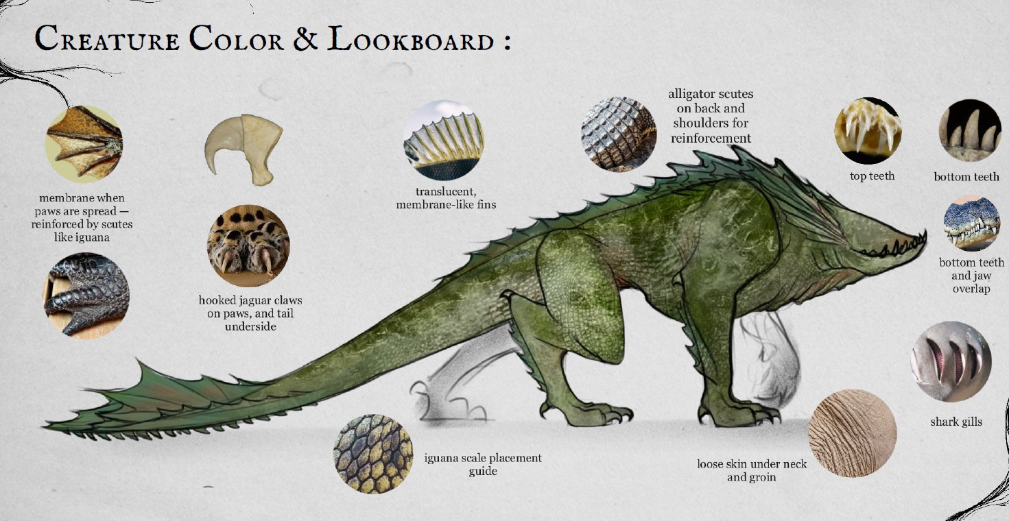 creature color & lookboard