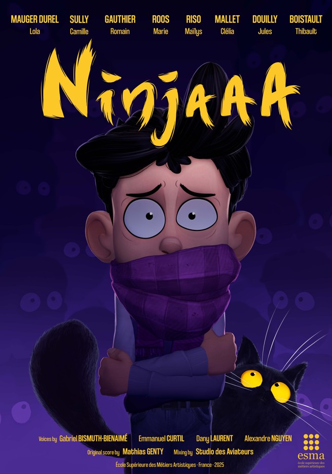 affiche du film ninjaaa