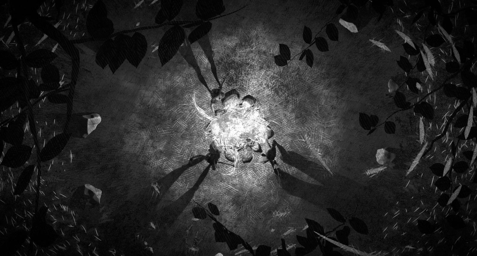film clip
