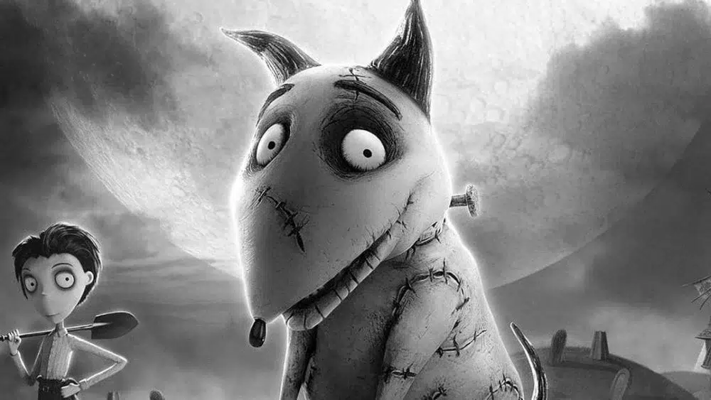 excerpt from Frankenweenie