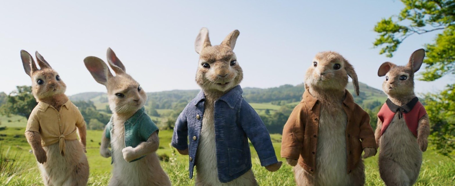 pierre lapin 2