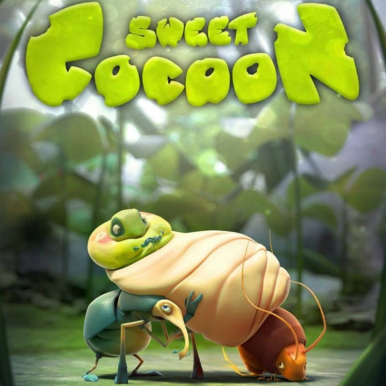 Sweet Cocoon