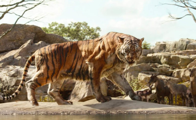 Shere Khan le Livre de la Jungle Disney - Interview d'Abdelkader Nouar, ancien de l'ESMA