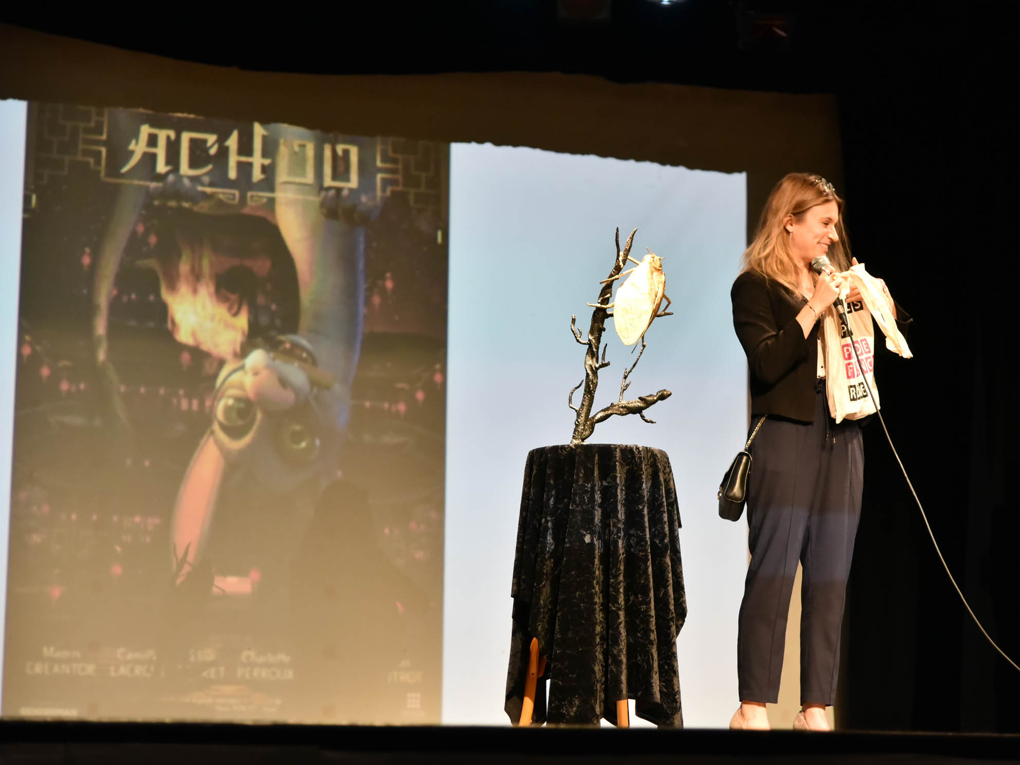 Elise Carret répondant aux questions sur le film Achoo au Ciné Festival en pays de Fayence