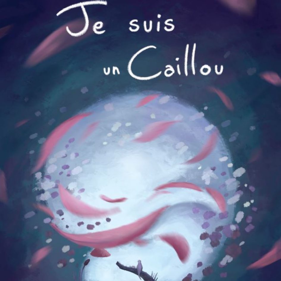 affiche je suis un caillou