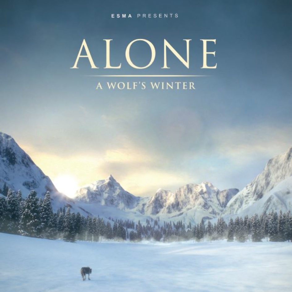 Affiche du film Alone a wolf's winter ESMA