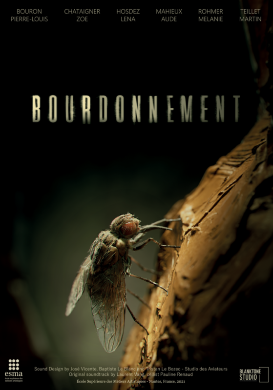 Bourdonnement